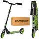 Детский двухколесный самокат iTrike SR 2-039-8 со складной конструкцией, Розовый