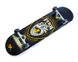 Скейтборд Fish Skateboard дерев'яний з візарунком 31", Heart